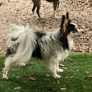 Meet your Posher, Mary d